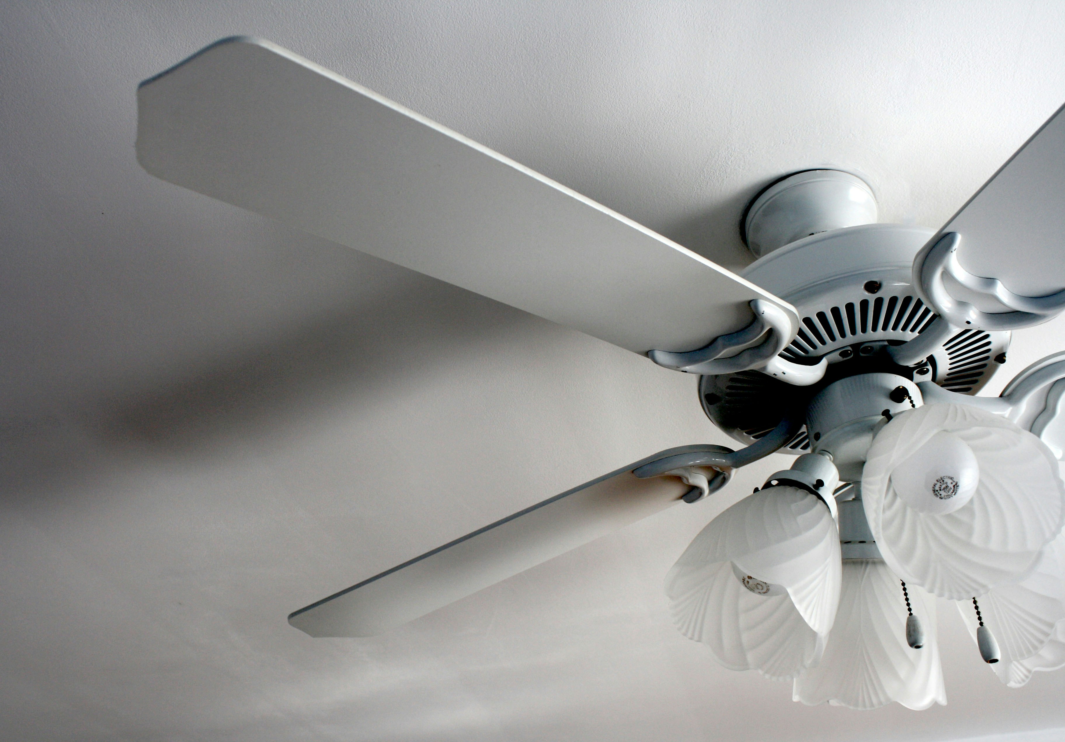 Ceiling Fans & Lighting Fixtures